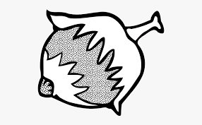 Kamu bisa dengan mudah mendapatkannya lho, karena selain harga nya murah, jumlahnya pun banyak karena hidup subur di. Vector Image Of Ripe Hazelnut Line Art In Black And Gambar Buah Buahan Lengkap Hitam Putih Free Transparent Clipart Clipartkey