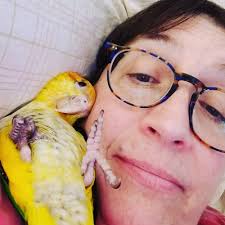 TOP 10 BEST Dog Walkers near Oneonta, NY