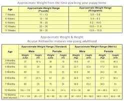 English Mastiff Puppy Weight Chart