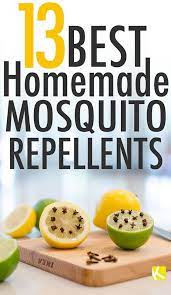 13 Best Homemade Mosquito Repellents Mosquito Repellent Homemade Diy Mosquito Repellent Repellent Homemade