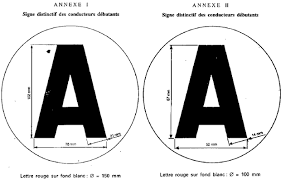 Les sanctions pour excès de vitesse. A Jeune Conducteur Auto Et Moto Le Point Sur La Legislation Le Moniteur Hors Des Clous