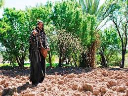 Sowing The Seed Of The Kingdom Sower Parables Parables Of Jesus