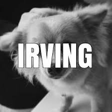 Low cost pet shots san antonio. Low Cost Pet Vaccinations Mobile Pet Vaccinations