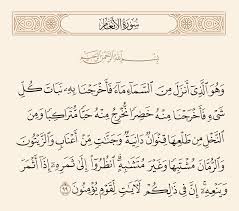 سورة الأنعام 99 وهو الذي أنزل من السماء ماء فأخرجنا به نبات كل شيء فأخرجنا