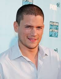 We always make sure that writers follow all your instructions precisely. Wentworth Miller Microsoft Store