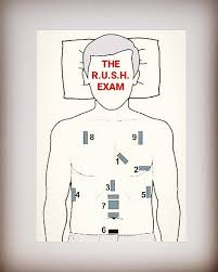 We did not find results for: Rush Protocol Rapid Human Biology With Cl Beh Facebook