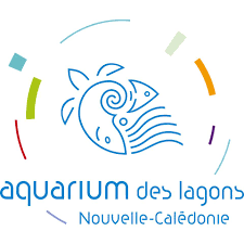 Budget et finances → débat sur les orientations budgétaires 2021conformément à l'article l. Aquarium Des Lagons Nouvelle Caledonie Startseite Facebook