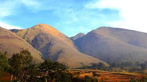 It is the very end of autumn and flax and lily are busy making blankets for the voles in the high hills. Deomali Koraput District Government Of Odisha India