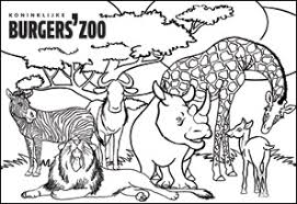 We did not find results for: Malvorlagen Safari Tiere Coloring And Malvorlagan