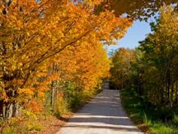 The dundas peak is one of my favorite places to visit for the hiking, the waterfalls, and its lookout. Drives To See In Ontario Fall Desjardins Insurance