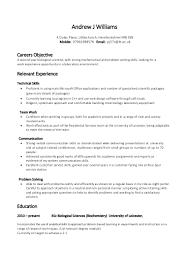 Example Skill Based Cv