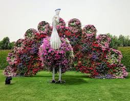 Di lebih dari 210 ribu meter persegi terdapat sebuah taman botani dimana pepohonan, semak dan bunga tumbuh mampu menahan musim panas dan salju yang ringan. Dubai Miracle Garden Taman Bunga Terbesar Dan Terindah Di Dunia M Kapanlagi Com