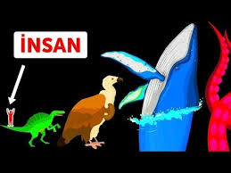 Dunyadaki En Buyuk Canli Nedir Youtube 2020 Afrika Fil Hayvan Afrika