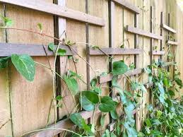 Affordable diy projects and gardening ideas for a statement space. 04 03 2021 8 Farmhouse Bathroom Decor Design Ideas Build A Backyard Bird Paradise By Zulily Best Exercises For A Great Cardio Workout At Home Backyard Menagerie With Ideas