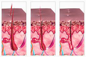 What types of drugs cause hair loss? The Real Secret To Healthy Hair Beautylish