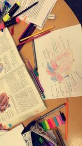 Directory of the web's best resources for learning human anatomy. 8 Studying Ideas Study Productivity Apps Android Student Apps