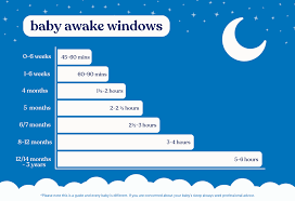 4 Month Sleep Schedule