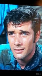 Robert Fuller's Career in Classic TV Shows