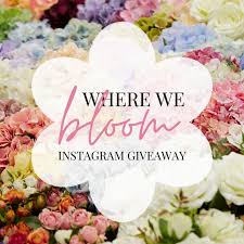 Little acre flowers llc is a design company based out of 2004 17th st nw unit 1, washington, district of columbia, united states. Home Debra Prinzing