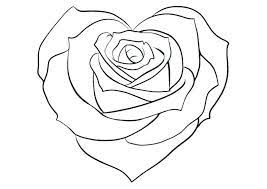 Sketch the petal/left side of the heart lightly at first so that you get the shape right. Simple Heart Rose Drawing Novocom Top