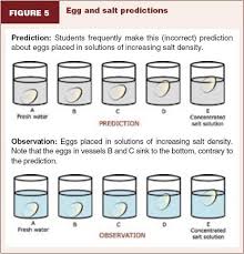 Science Fair Display Board For Floating Egg Figure 5 Egg And Salt Predictions 4th Grade Science Projects Science Fair Science Projects