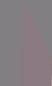 Image result for Justicia bolomboensis