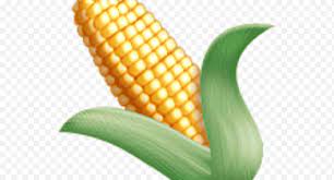 Jagung manis adalah kesukaan ramai orang kita. Emoji Smiley Jagung Rebus Emoticon Anjing Jagung Stiker Makanan Biji Jagung Jagung Manis Png Klipartz