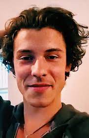 Pin On Shawn Mendes