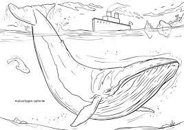 All you need is photoshop (or similar), a good photo, and a couple of minutes. Great Coloring Page Blue Whale Whales Animals Free Coloring Pages