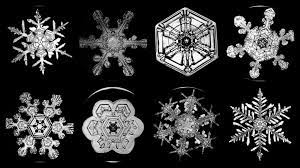 We did not find results for: La Storia Di Wilson Bentley L Uomo Dei Fiocchi Di Neve