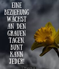 Hochzeitstag glückwünsche rosenhochzeit hochzeitstag kostenlos glückwünsche whatsapp sprüche facebook gratulieren schreiben finden hier werden einige glückwünsche und sprüche für glückwunschkarten vorgestellt, die man aber auch als lustige gratulation in eine sms, eine. Authentic Gossip Whatsapp Gluckwunsche Zur Rosenhochzeit Hochzeit Bild Rosenhochzeit Gluckwunsche Zum Hochzeitstag Hochzeitstag Der Bund Der Ehe Ist Kein Leichtfertiges Versprechen Oder Gluck Selbst Eine Kleine Nachricht Per Whatsapp Oder