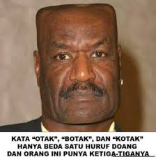 Suatu Dunia Download 1000 Gambar Lucu Gratis Konyol Dan Kocak Abis Gambar Lucu Meme Lucu