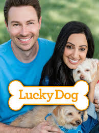 Lucky Dog (TV Series 2013– )