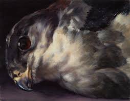 Bildergebnis für Robert Devriendt