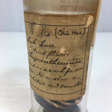 Glass vases depot is an incredible place. Antique Glass Apothecary Jar Pharmaceutical Society Museum Great Britain Chrysanthemum Indicum Wheeler Antiques