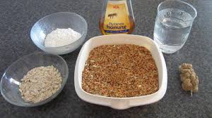 Baby Bird Food Homemade Birdcage Design Ideas