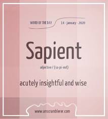 Sapient In 2020 Good Vocabulary Words Weird Words Words