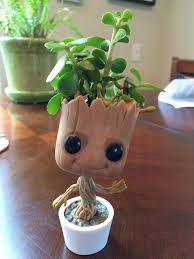 Diese könnt ihr entweder selber erstellen oder herunterla. Groot Mymy Groot Topfblumen Pflanzenhalter Bastelarbeiten
