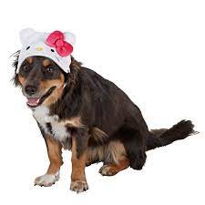 Hello Kitty Hat Bandanas Bows Eyewear Petsmart Hello Kitty Kitty Pet Gear