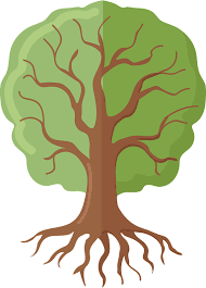 Free clip art and images for teachers, classroom lessons and activities, web pages, print projects, scrapbooking, blogs and more. Tree Of Life Clipart Free Download Transparent Png Creazilla