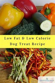 Mom is always trying to find me healthy food and dog treats to eat. Diy Low Calorie Dog Treats Bodacious Blueberry All Natural Dog Treat Low Fat By As A Natural Homemade Dog Treat Company We Often Give Recipes Like This One To Our Customers