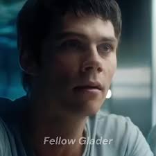 I'm thinking of vanishing for a week for no real reason then spam posting  #tharis #thomasxaris #bookedit #bookship #thomasandaris #tmr #tmredit  #tmrship #mazerunner #mazerunneredit #mazerunnership ...