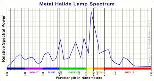 Generally for a 600w mh or hps system with digital ballast and a quality reflector you will need to spend about $200 to $300. Metal Halide Vs Hps Grow Light Bulbs Which Should You Be Using