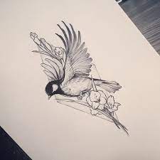 Even so, not because they are so popular does not mean that they. Tattooist Doy On Instagram Tattoo Design Bird Flower Tattoo Tattooistdoy Design Drawing Sketch Tatouage Magnifique Dessin Tatouage Tatouage Oiseau