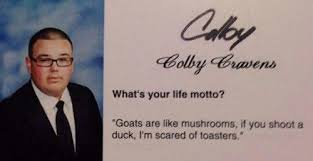What S A Motto Funny Yearbook Quotes Funny Yearbook Senior Quotes Funny