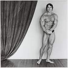 Arnold Schwarzenegger', Robert Mapplethorpe, 1976, printed 2005 | Tate
