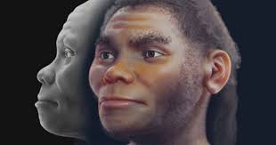 Hoax Hominin 'Piltdown Man' Could Equally Be 'Piltdown Woman'