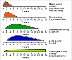 Insulin Derivative An Overview Sciencedirect Topics