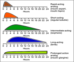 insulin derivative an overview sciencedirect topics