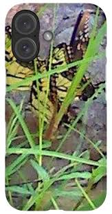 Virginia Swallowtails